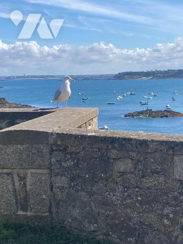 SAINT-LUNAIRE Pointe du Décollé