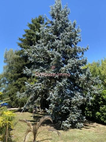 Maison à vendre 7 pièces de 235 m²