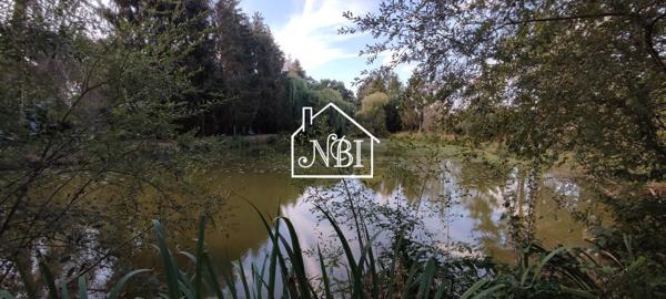 A VENDRE – ETANG – LA BAZOGE MONTPINCON