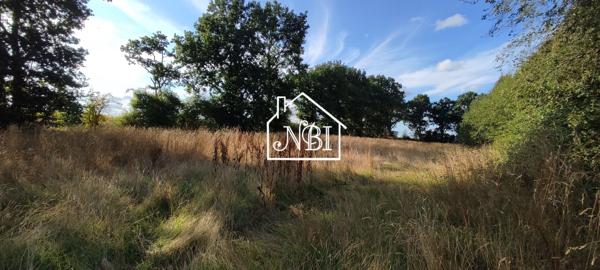 A VENDRE – ETANG – LA BAZOGE MONTPINCON