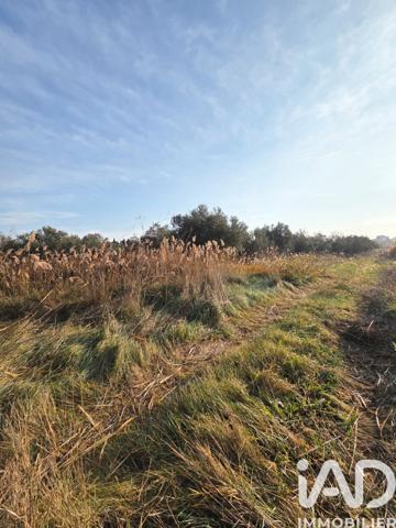 Terrain à vendre 5 801 m² Pia