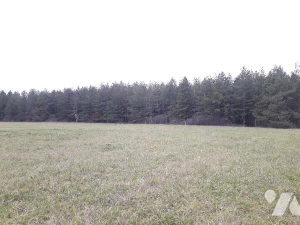 PARCELLE BOISEE DE 5 HA 90, IDEAL CHASSE, INVESTISSEMENT EN SOLOGNE