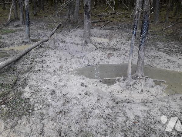 PARCELLE BOISEE DE 5 HA 90, IDEAL CHASSE, INVESTISSEMENT EN SOLOGNE