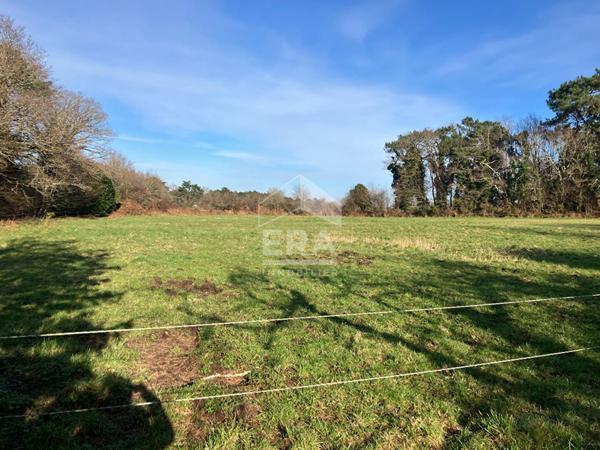 Maison Ploemel 7 pièce(s) 160 m2