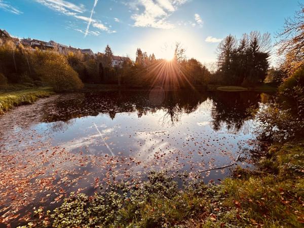 Grande maison avec studio coeur du Plateau de Millevaches