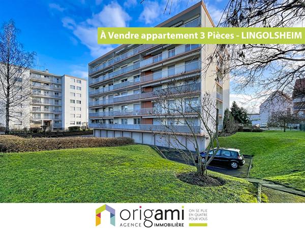 Appartement 3P à LINGOLSHEIM Lingolsheim Appartement 3P à LINGOLSHEIM Lingolsheim