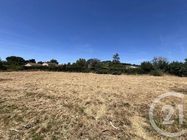 Maison à vendre  7 pièces - 342,64 m 2   LABOUTARIE  - 81