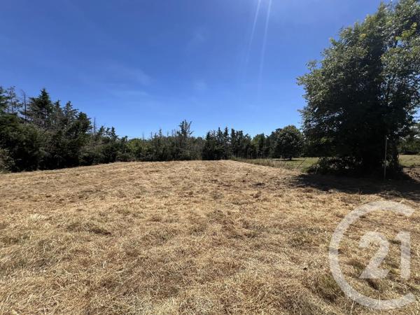 Maison à vendre  7 pièces - 342,64 m 2   LABOUTARIE  - 81