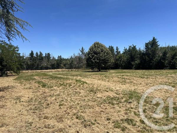 Maison à vendre  7 pièces - 342,64 m 2   LABOUTARIE  - 81
