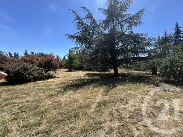 Maison à vendre  7 pièces - 342,64 m 2   LABOUTARIE  - 81