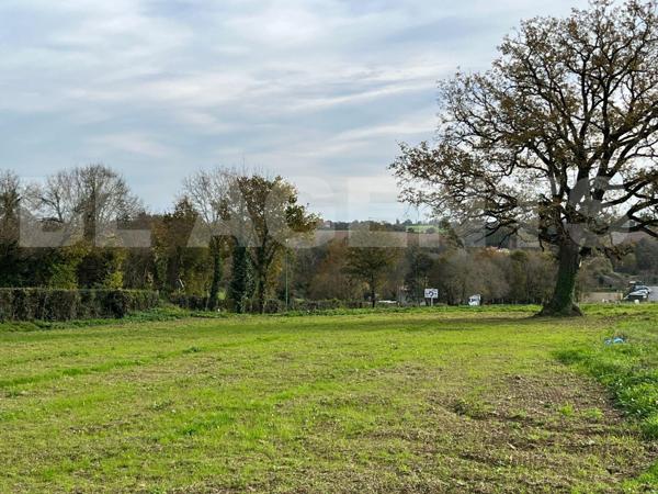 Terrain constructible en lotissement 