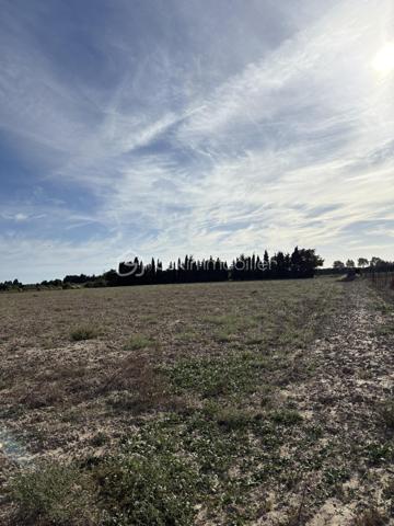 Terrain agricole de 15 000 m²