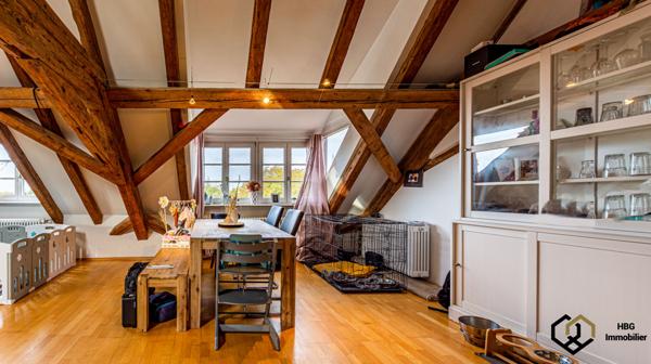 Seebach (67160) Seebach le village du patrimoine, de l’histoire et des traditions de l’Alsace du nord.