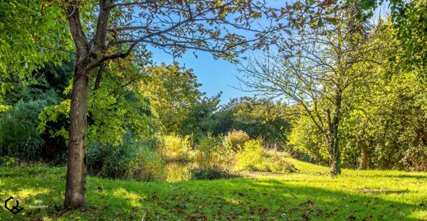 Seebach (67160) Seebach le village du patrimoine, de l’histoire et des traditions de l’Alsace du nord.