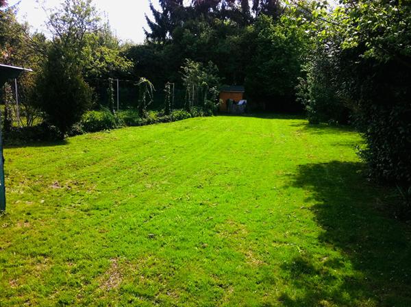 Terrain Jouarre face à la nature