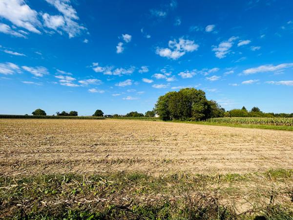 Terrain Jouarre face à la nature