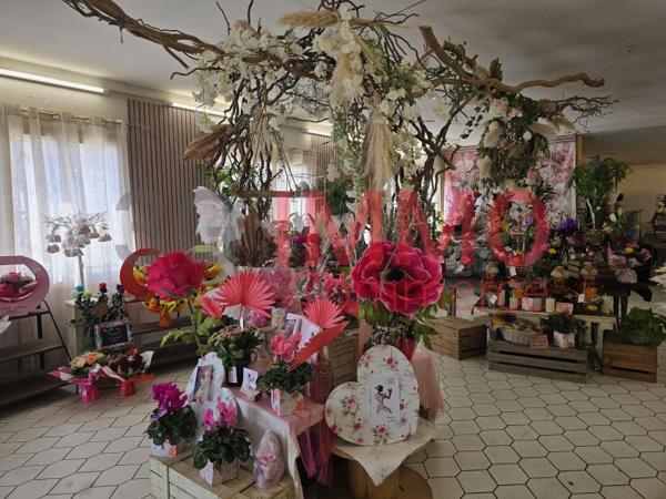 Vente fonds de commerce / Divers services