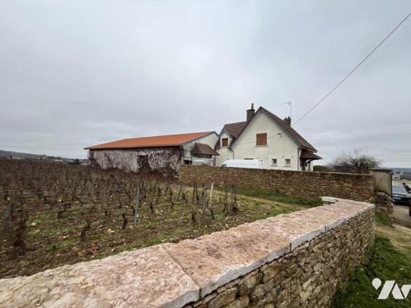 Vente VOLNAY domaine viticole maison avec bâtiments viticoles sur 1267 m² de terrain