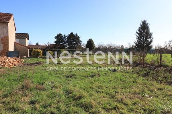 A vendre: Terrain a batir viabilise - 71680 CRECHES SUR SAONE