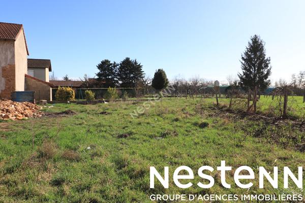 A vendre: Terrain a batir viabilise - 71680 CRECHES SUR SAONE