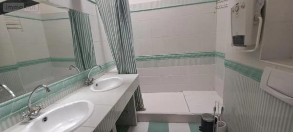 Achat - Immeuble Angers 49100 225 m 2 112 m 2