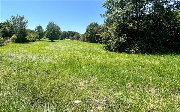 Terrain à vendre |  Dieupentale |  3400 m²