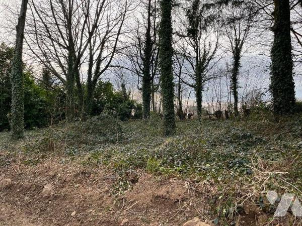 A vendre sur la commune de Sourdeval dans le bourg de Vengeons, maison individuelle en pierres ...