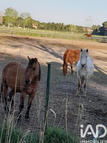 Maison à vendre 3 pièces 70 m² Aigues-Mortes