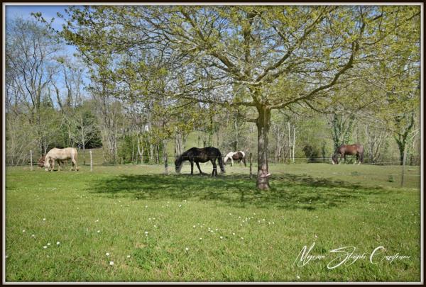 Dpt Landes (40), à vendre CAPBRETON Propriété de charme au calme.