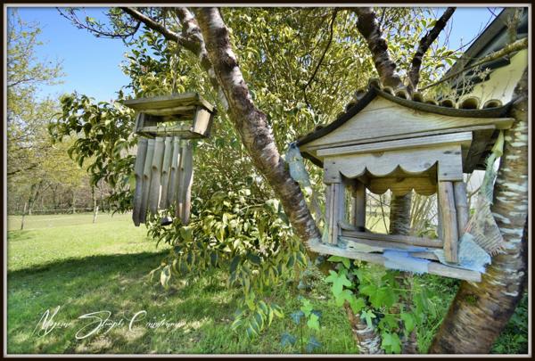 Dpt Landes (40), à vendre CAPBRETON Propriété de charme au calme.