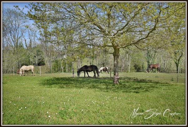 Dpt Landes (40), à vendre CAPBRETON Propriété de charme au calme.