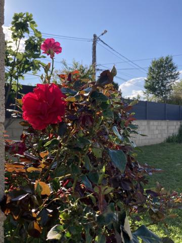 Villa de 160 m2  Roquemaure (30150)