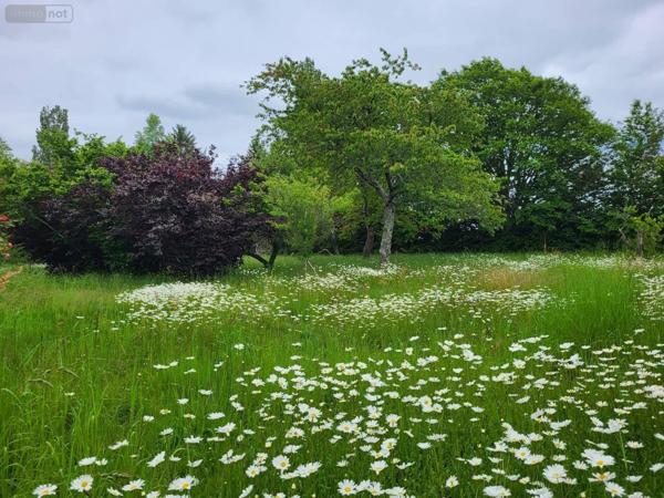 Maison à vendre à Fresselines en Creuse (23450), ref : 1196