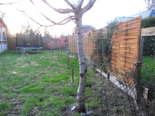 Vente / Maison traditionnelle