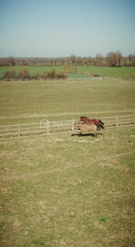 Domaine de 3 000 m²
