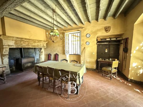 Pézenas, Château  600 m² à vendre