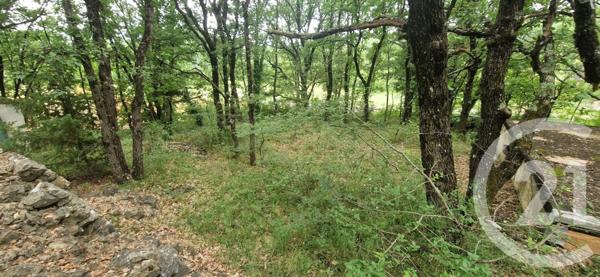 Maison à vendre  2 pièces - 29 m2 ST MAXIMIN LA STE BAUME - 83