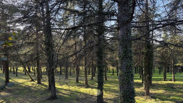 Maison d'exception dans un parc de 2 hectares !