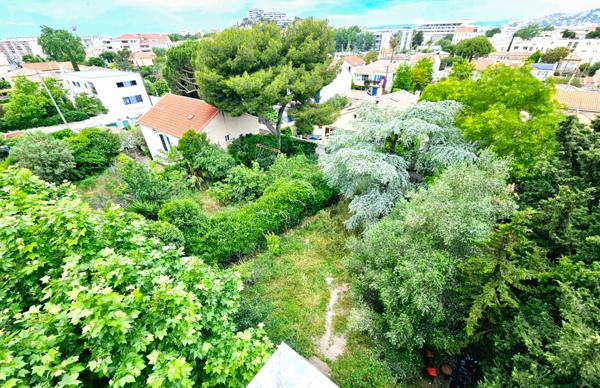 L’Esprit de la Provence au Cœur de Marseille