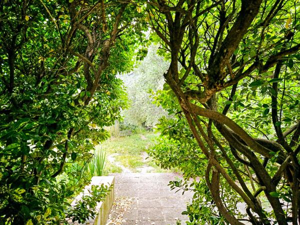 L’Esprit de la Provence au Cœur de Marseille