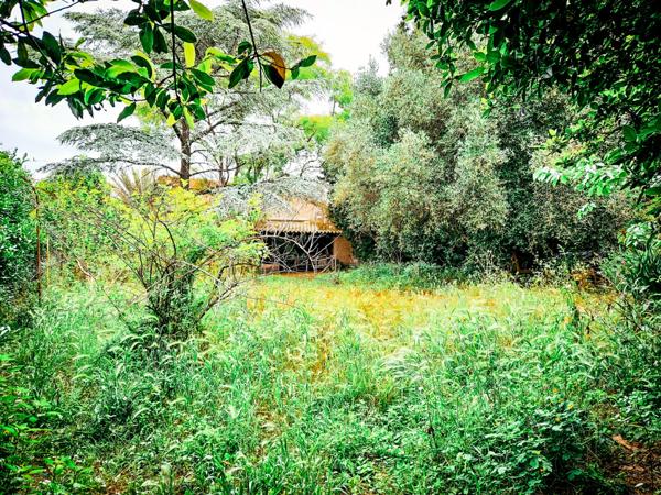 L’Esprit de la Provence au Cœur de Marseille