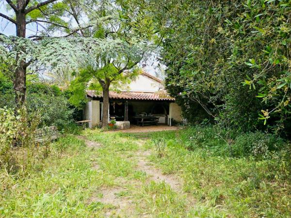 L’Esprit de la Provence au Cœur de Marseille