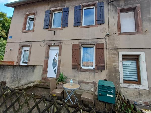 Votre jardin en pleine foret