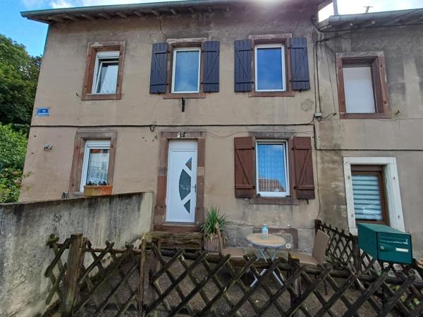 Votre jardin en pleine foret