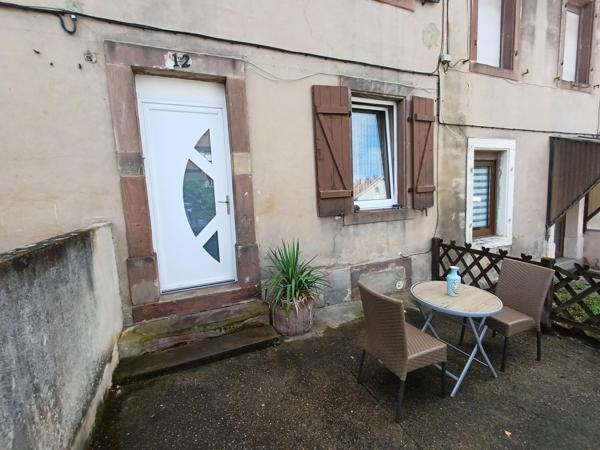 Votre jardin en pleine foret