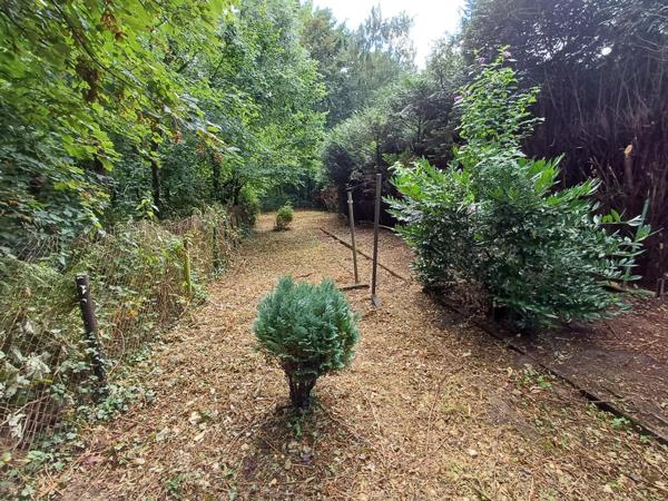 Votre jardin en pleine foret