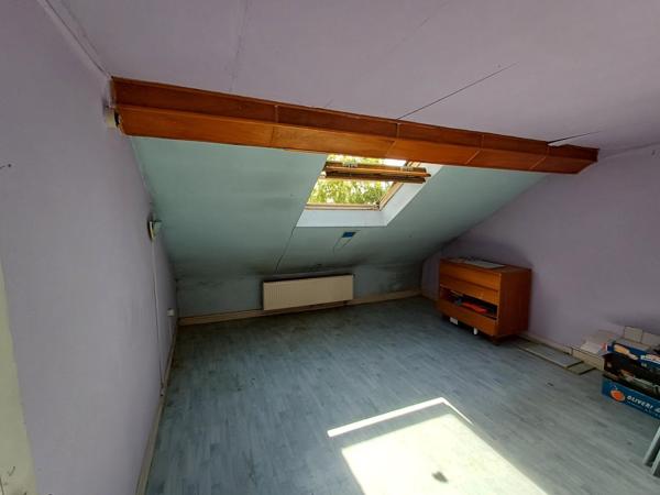 Votre jardin en pleine foret