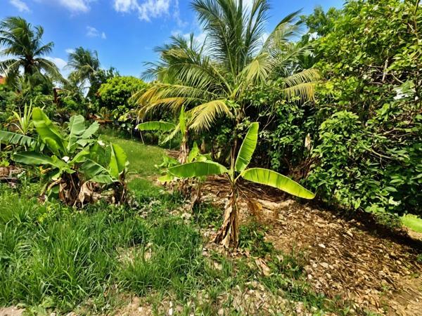 Maison T3 à achever à vendre SAINTE ANNE RICHER (971)