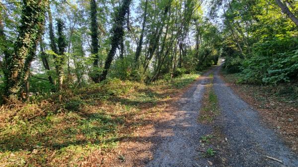 Brive la gaillarde - Proche centre ville - Terrain Constructible