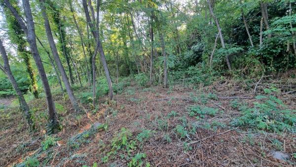 Brive la gaillarde - Proche centre ville - Terrain Constructible